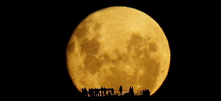 Illustration for article titled The Most Amazing Science Images of 2013